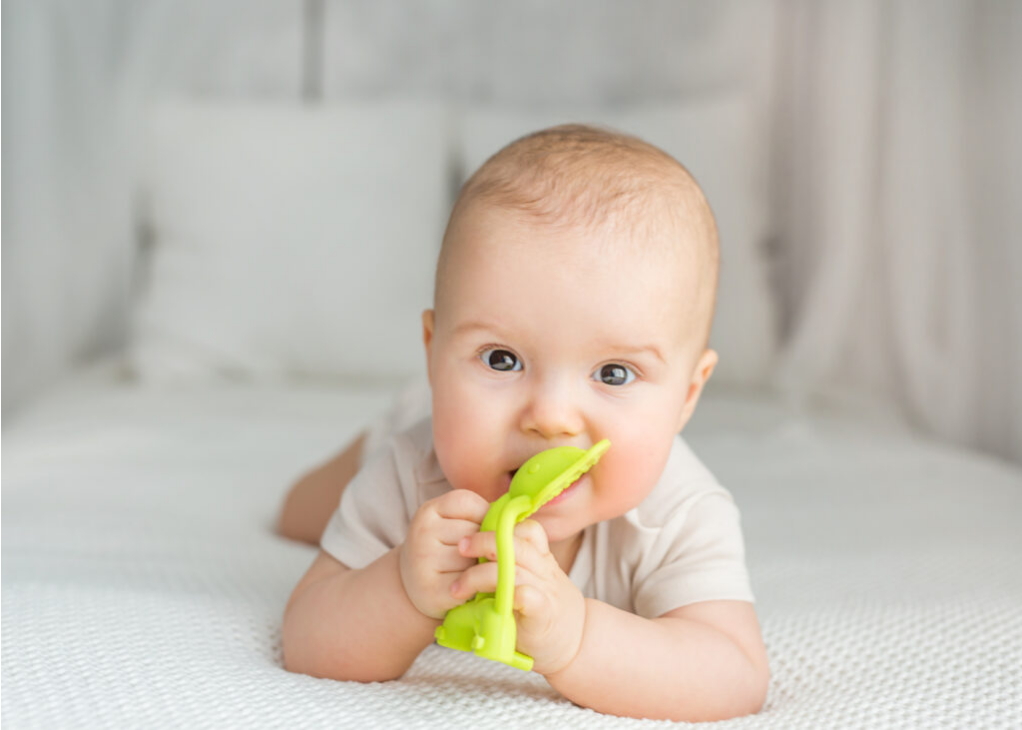 Silikonowy Gryzak Słoń Limonka